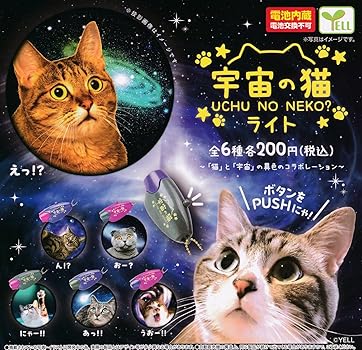 宇宙　ガラスの猫 宇宙 ガラスの猫